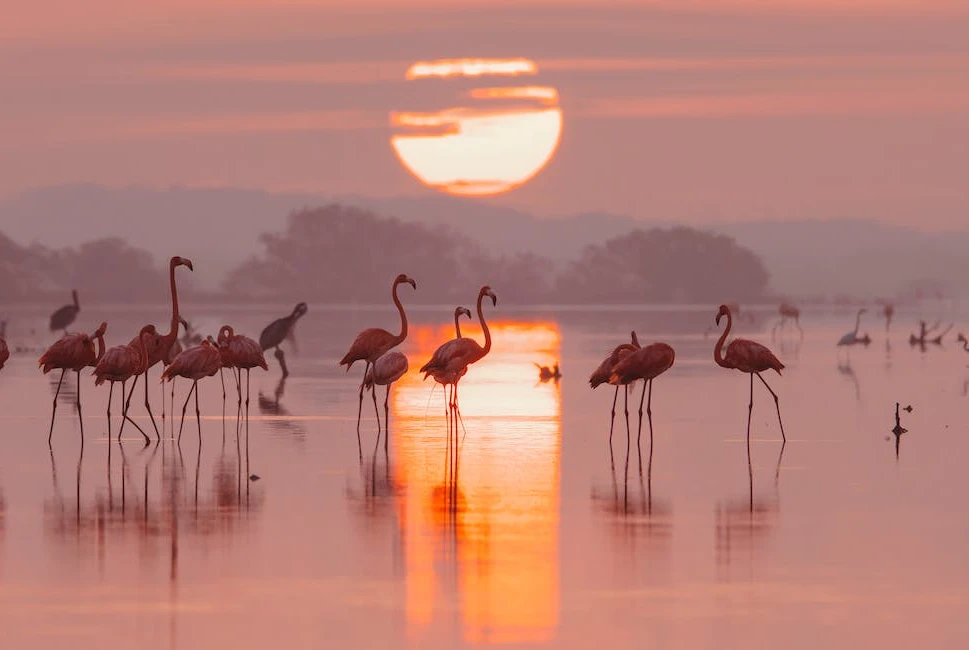 Nature's Paradise: Outdoor Activities and Scenic Beauty in Staten Summerville, GA